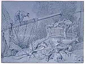 Still-life of Fish, with Parrot