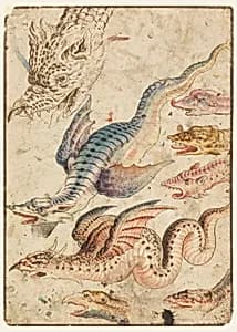 Studies of a dragon by Unknown