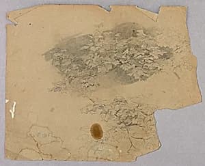 Study of foliage by William Trost Richards, American, 1833–1905
