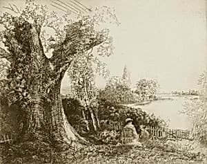 Sussex Days by Donald Shaw MacLaughlan