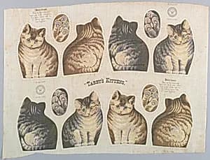 Tabby's Kittens