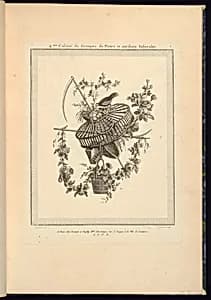 Title Page by Pierre Ranson, French, 1736–1786