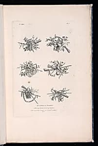 Title Page by Pierre Ranson, French, 1736–1786