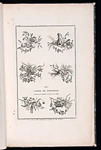 Title Page by Pierre Ranson, French, 1736–1786