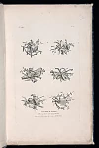 Title Page by Pierre Ranson, French, 1736–1786