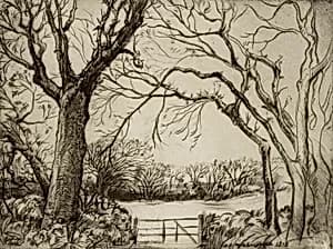 Tragenna Wood by Donald Shaw MacLaughlan