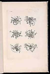 Trophy Designs by Pierre Ranson, French, 1736–1786