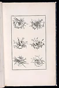 Trophy Designs by Pierre Ranson, French, 1736–1786