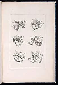 Trophy Designs by Pierre Ranson, French, 1736–1786