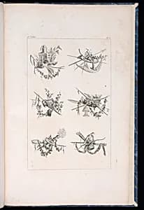 Trophy Designs by Pierre Ranson, French, 1736–1786