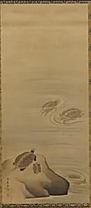Turtles