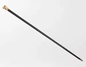 Walking stick