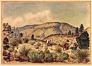 Women Gathering Yucca Plants by Unidentified (American)
