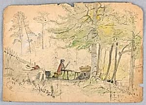 Woodland Camp