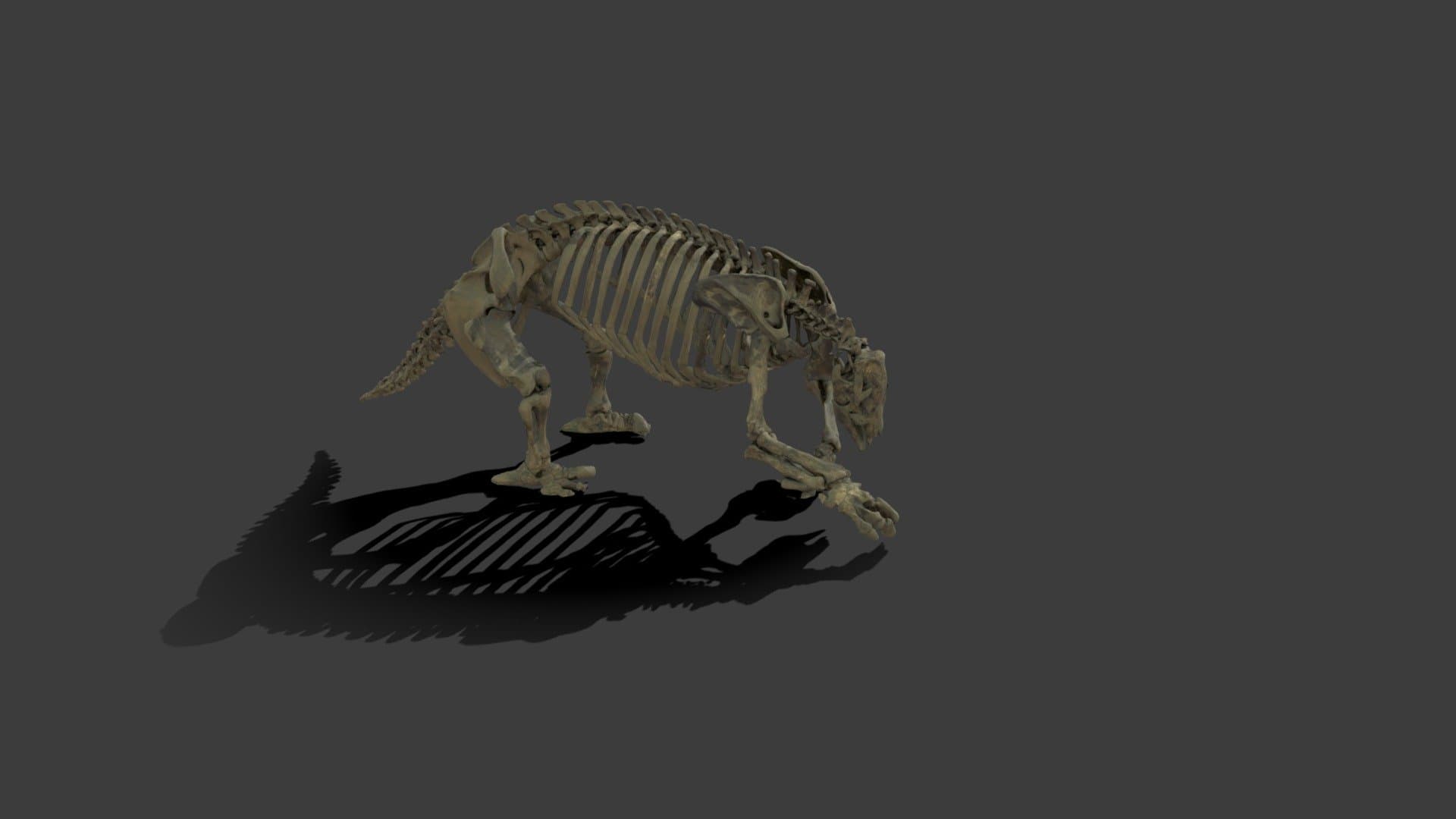 Eremotherium laurillardi
