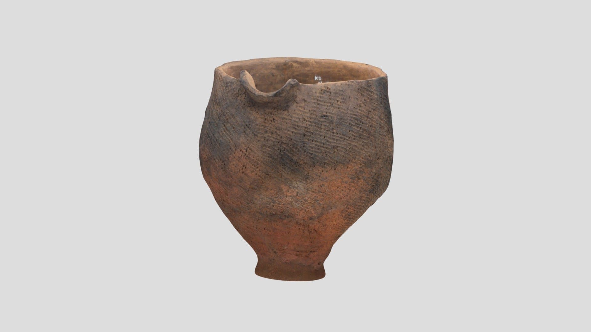 片口付深鉢形土器　lipped pot