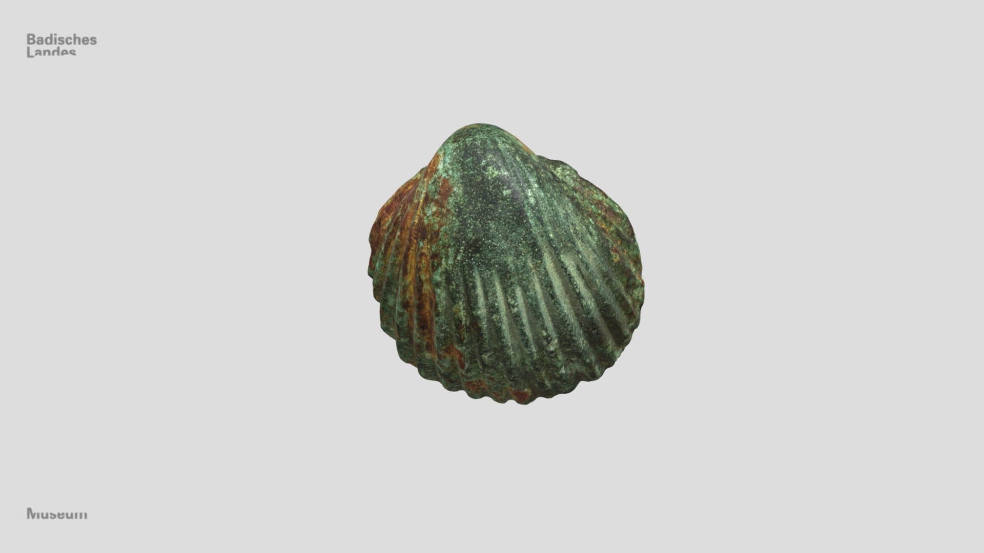Bronzemuschel (Zierstück)
