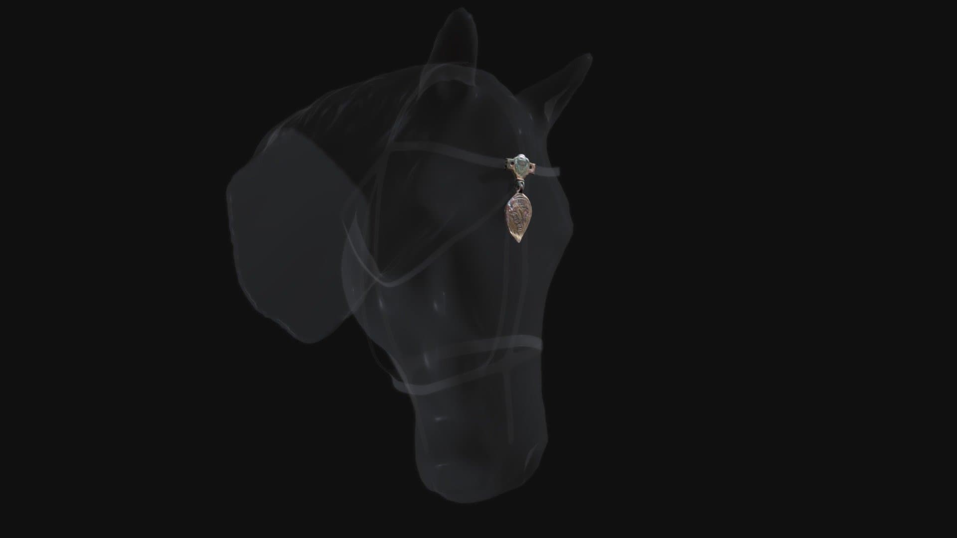 Testeira de Cavalo