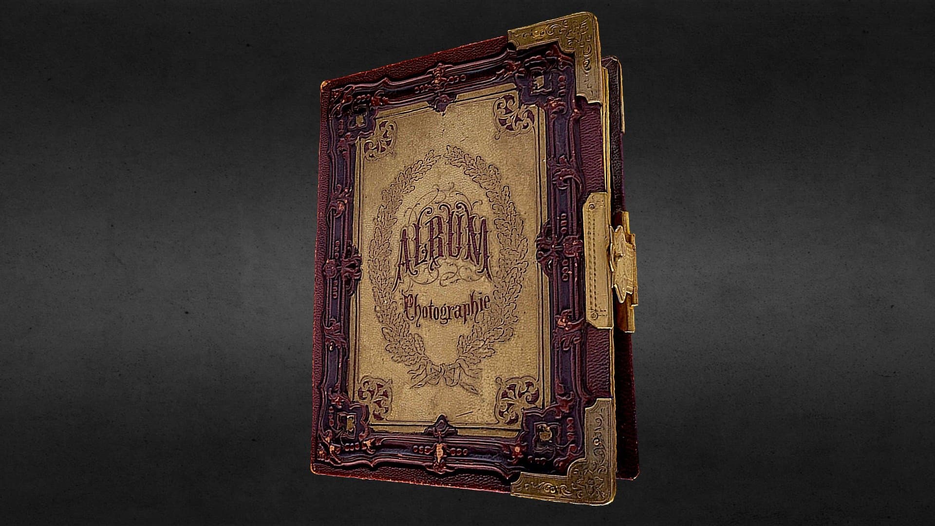 Family Photography Album Austria - 19th century