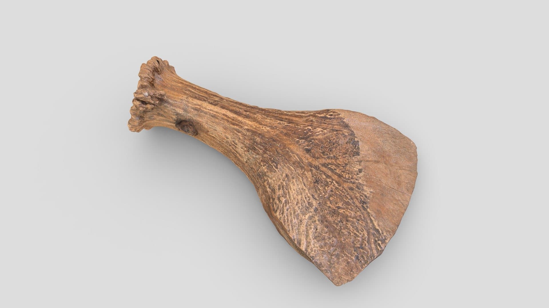 Bijl | axe (1100-800 BC)