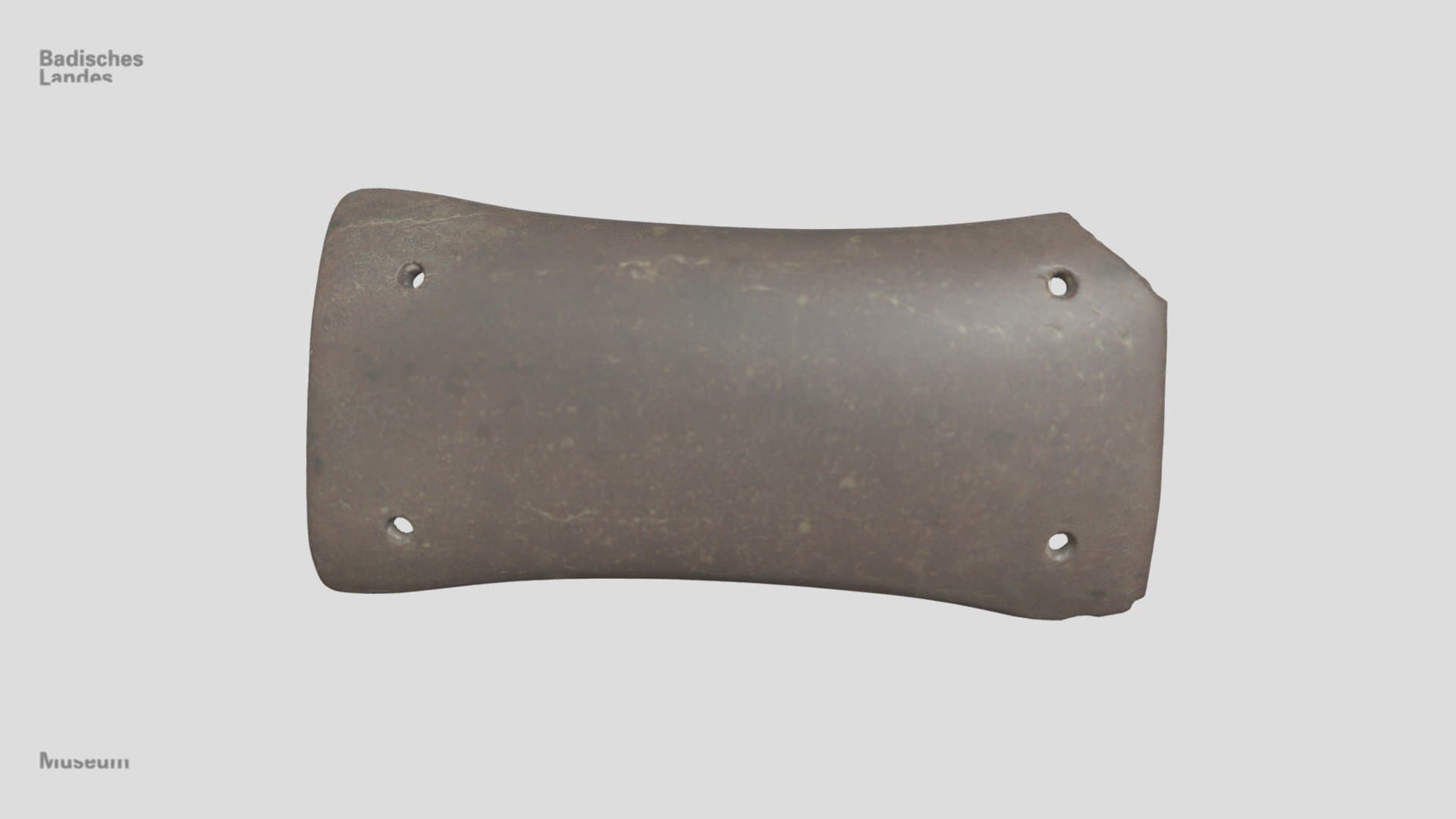 Armschutzplatte