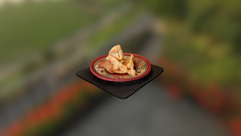 Fried Dumplings *OLD MODEL*