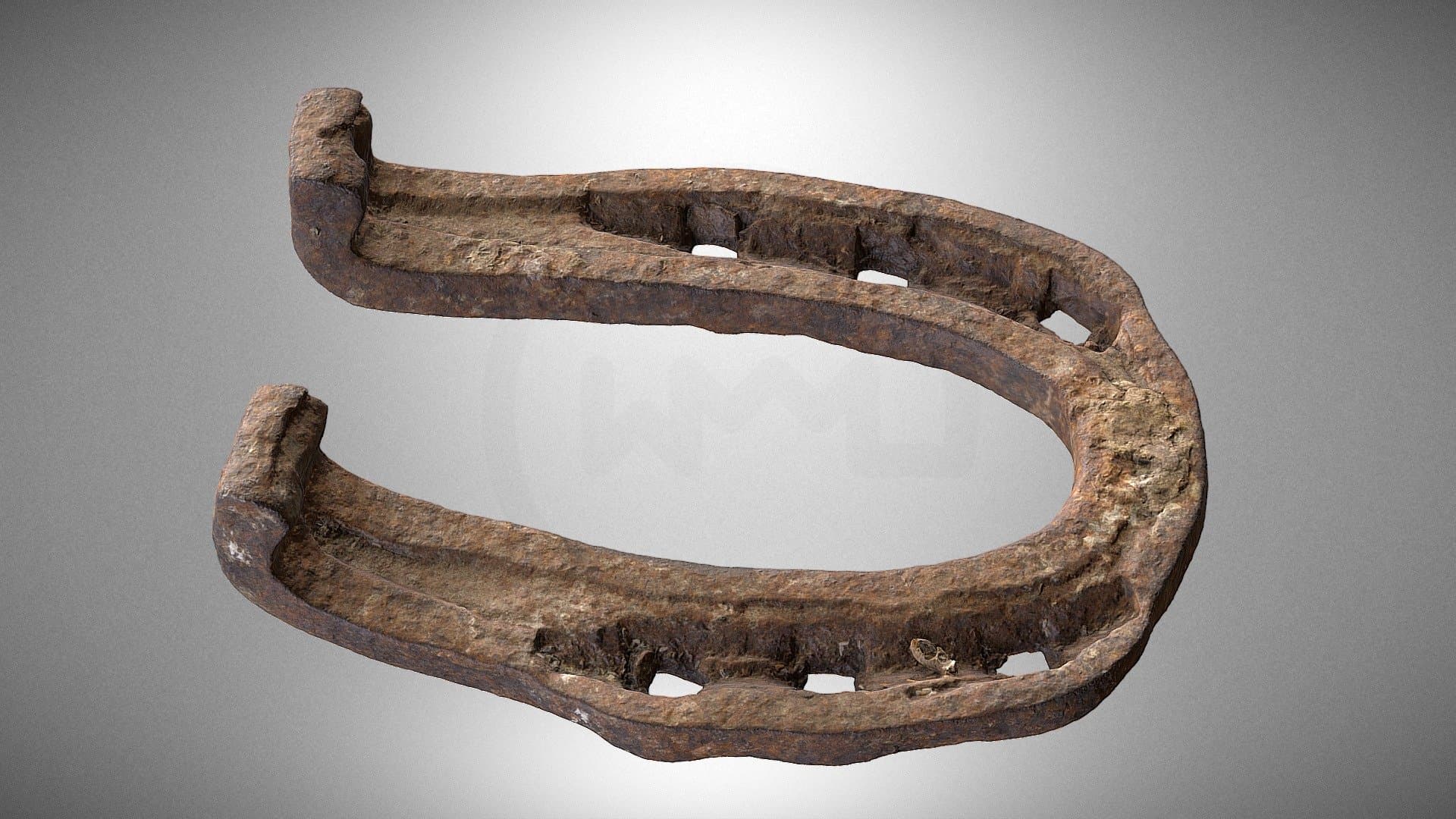 Donkey horseshoe