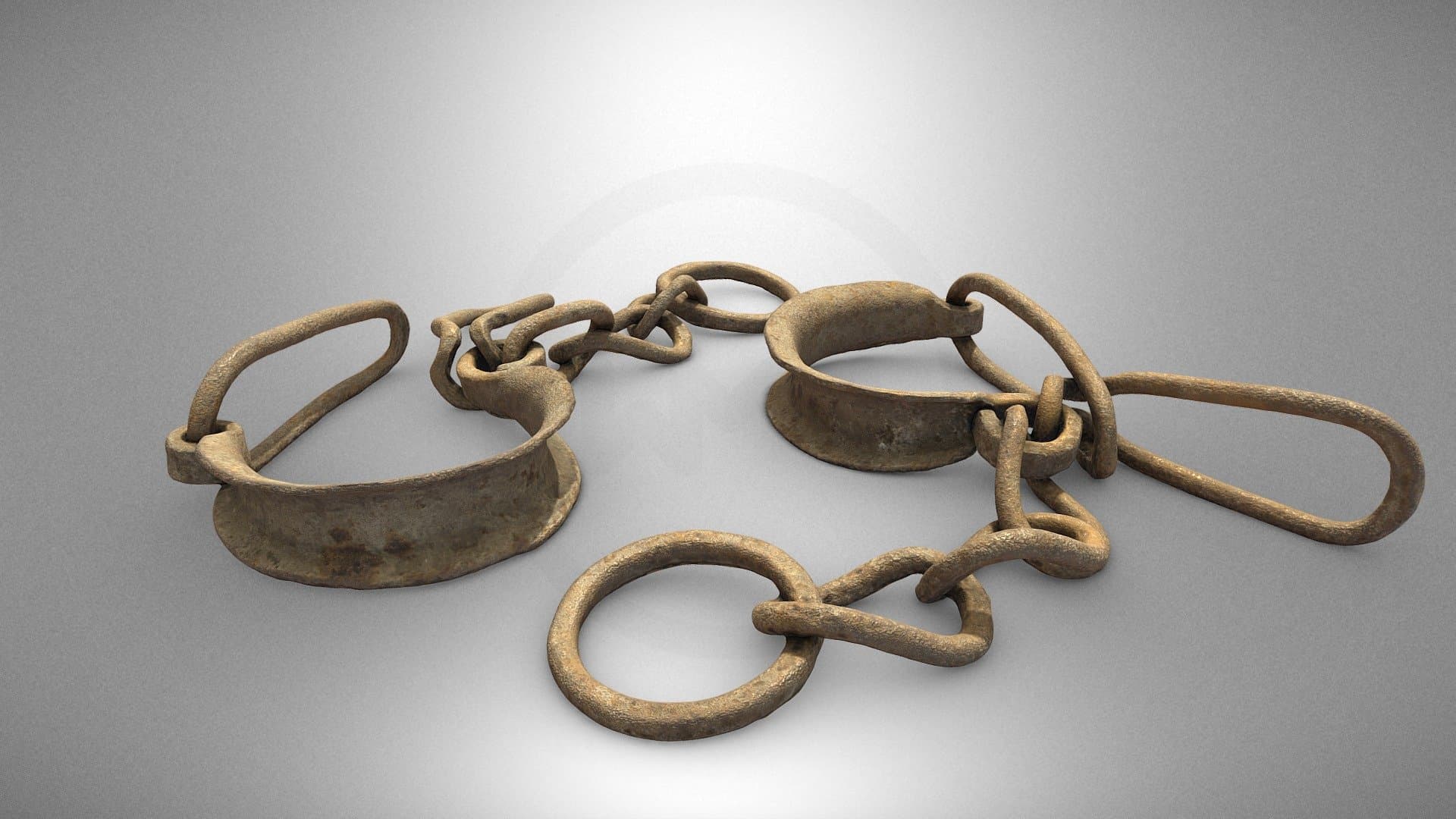 A shackle for a horse