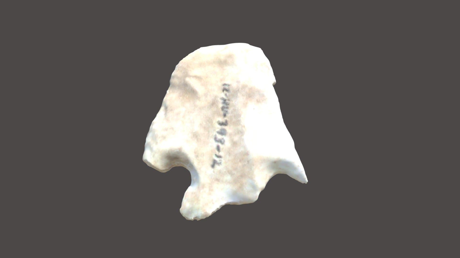 ROI007-360-01