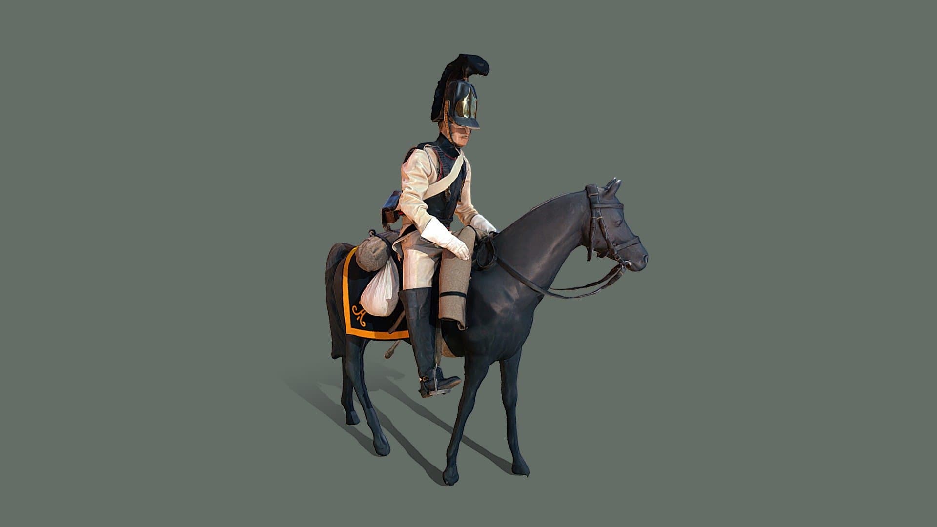 Private of the Order Cuirassier Regiment