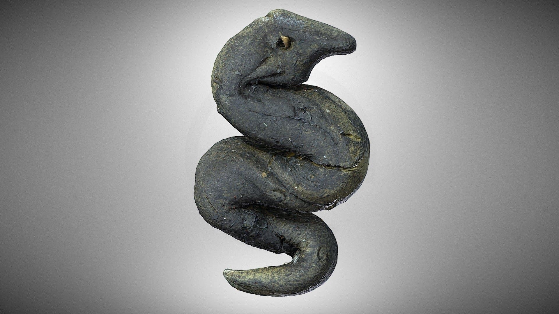 Fortune-telling snake