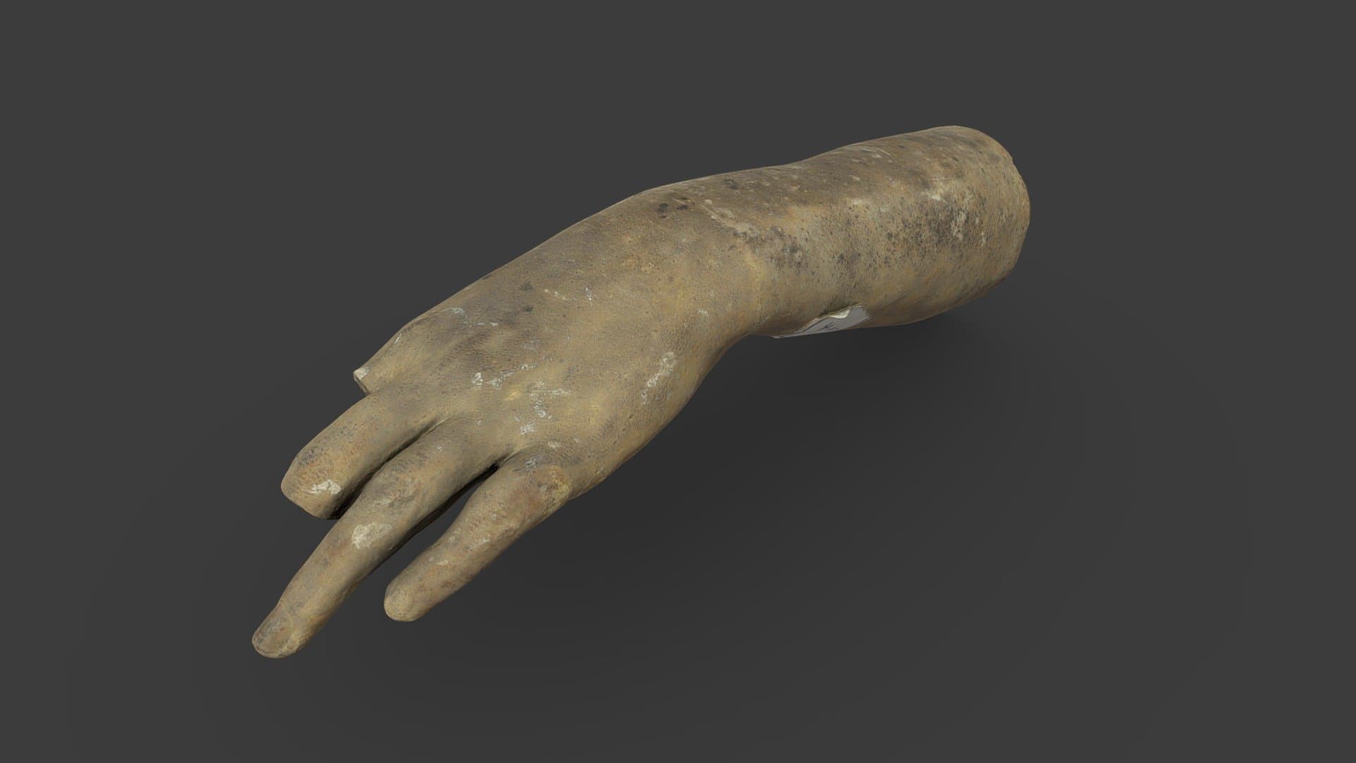 Life Cast of Left Forearm and Hand