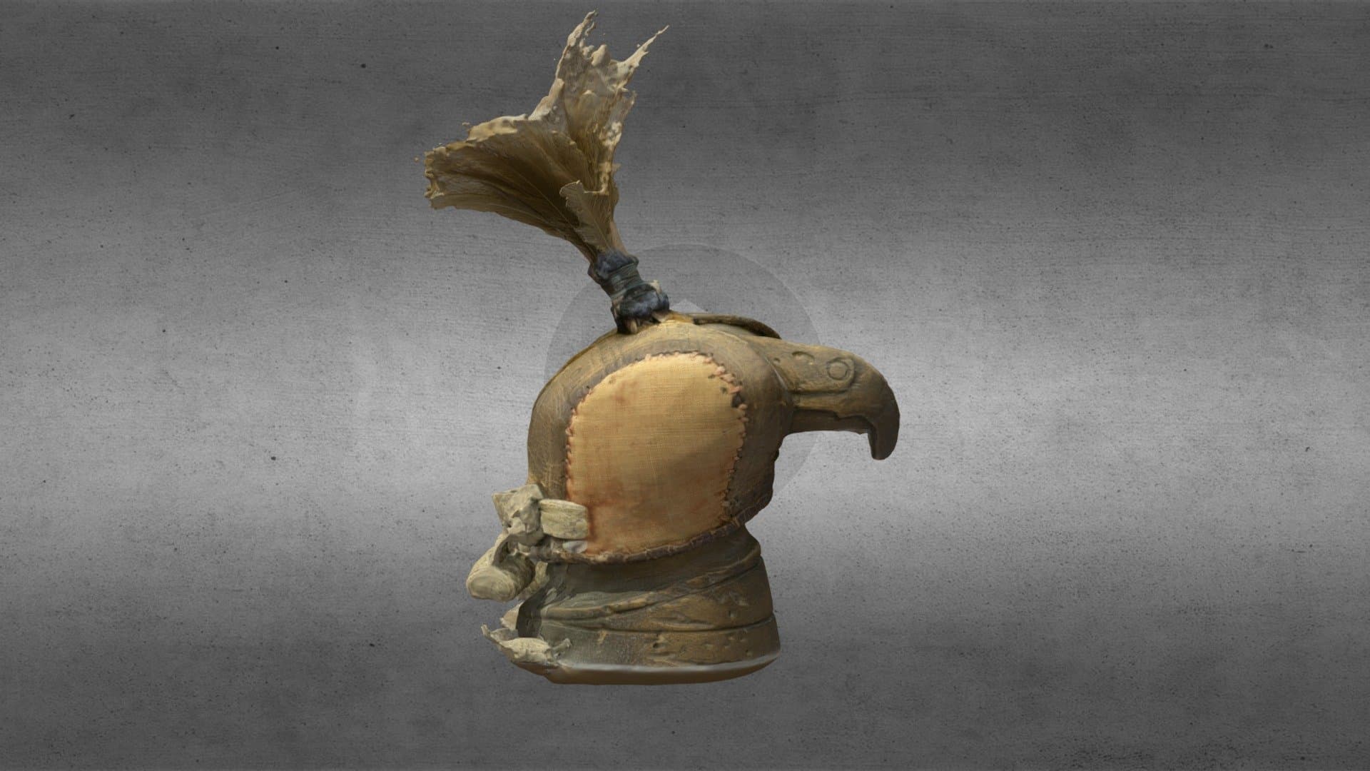 Hood for a Hawk
