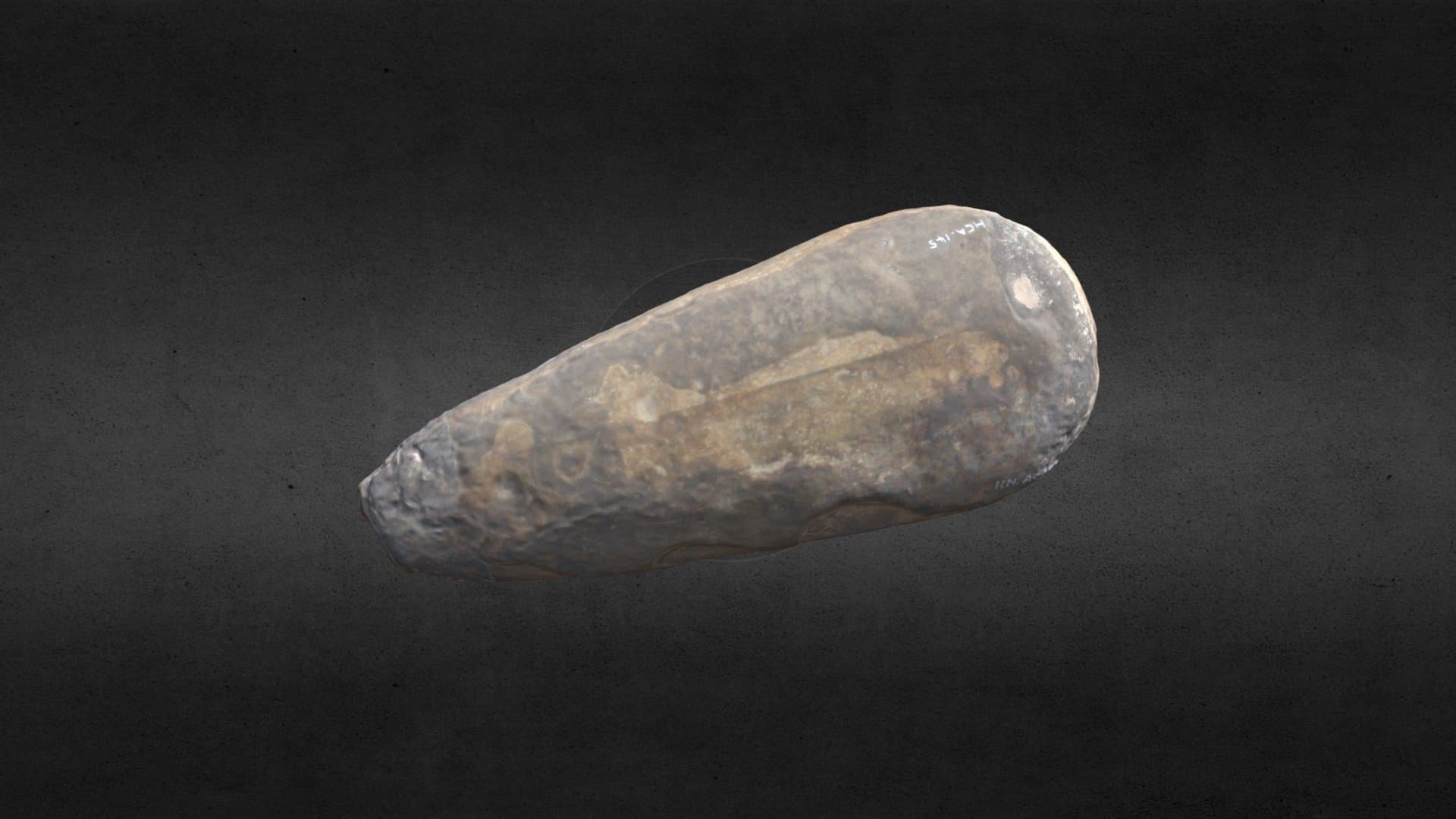 Neolithic Ground Axehead