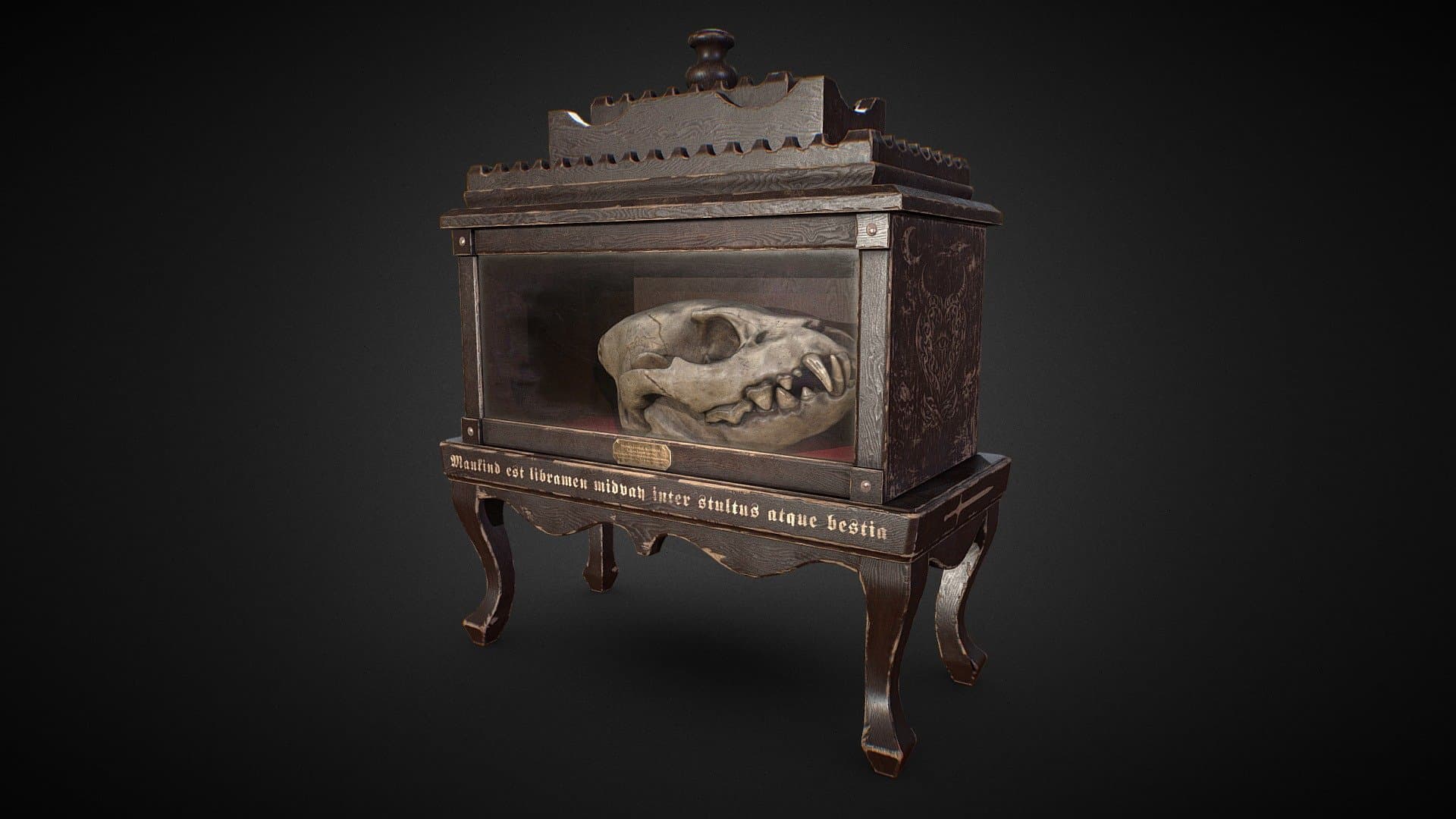 Antique curiosity skull cabinet