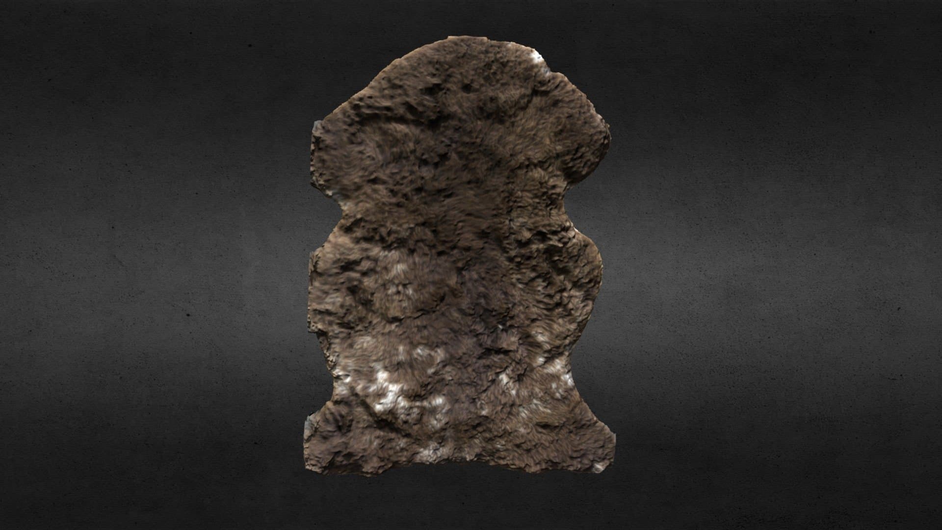 Hunt Museum - Sheep Skin