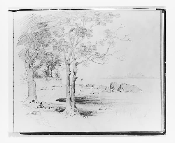 Landscape with Foreground Trees (from Sketchbook)