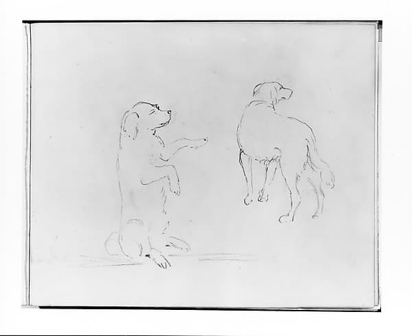 Two Studies of a Dog (from Sketchbook)