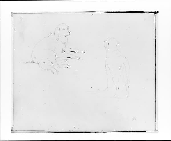 Two Studies of a Dog: Lying Down and Rear View Standing (from Sketchbook)