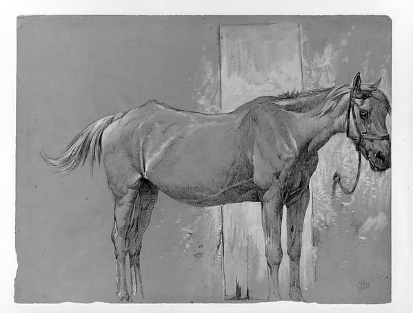 Horse, Fort Stanton, New Mexico