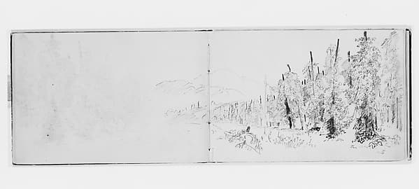 Landscape with Forest, Fields, and Mountains (from Sketchbook X)