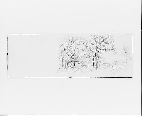 Tree Sketch (from Sketchbook VII)