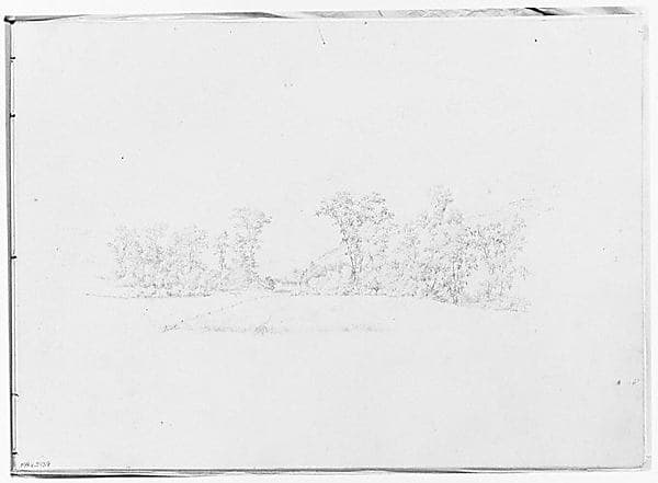 Farm Meadow Bordered by Trees (from Sketchbook)