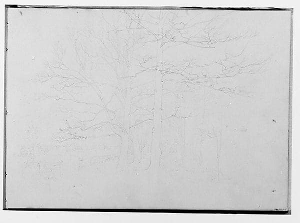 Portrait of Hinckley, Thomas Hewes