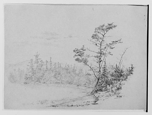 Lakeshore View [Long Lake?] (from Sketchbook)