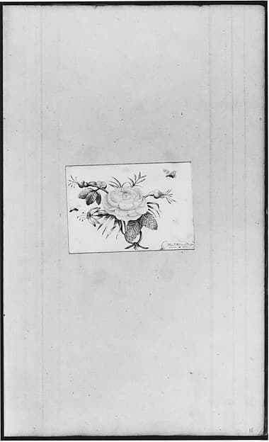 Flower (from Sketchbook)