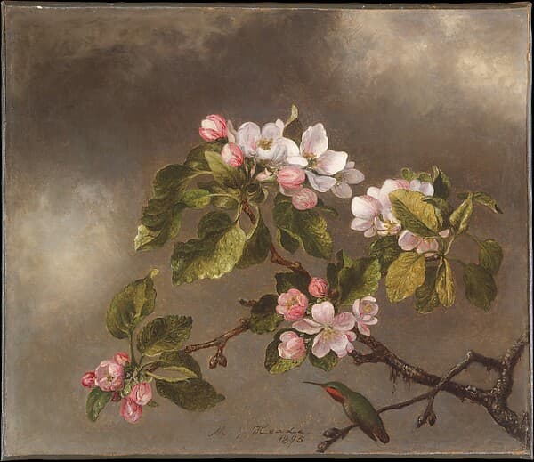 Portrait of Heade, Martin Johnson