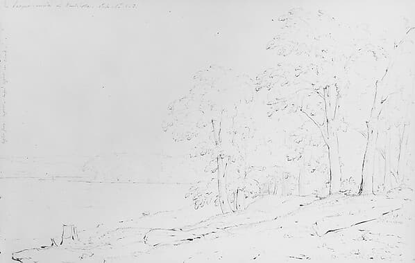 The Susquehanna at Nanticoke (River Walk on the Susquehanna)