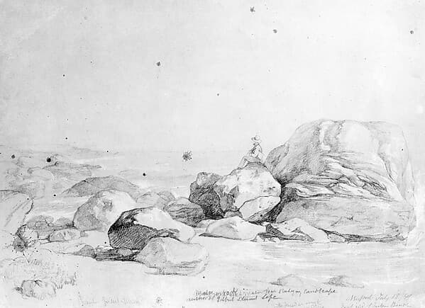 Mr. Mason by the Sea