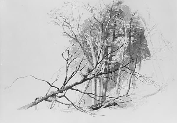 Portrait of Carmiencke, Johann Herman